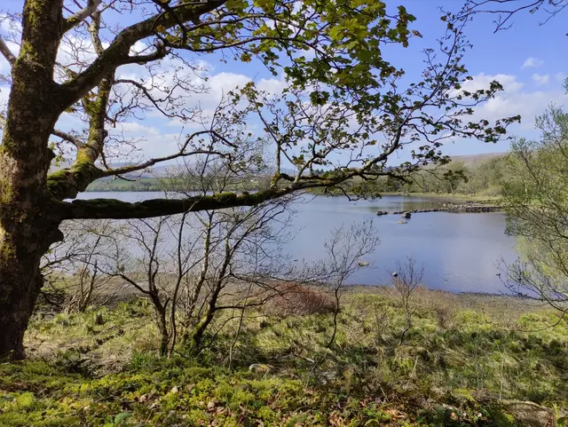 Gartan Lough walk, Churchill