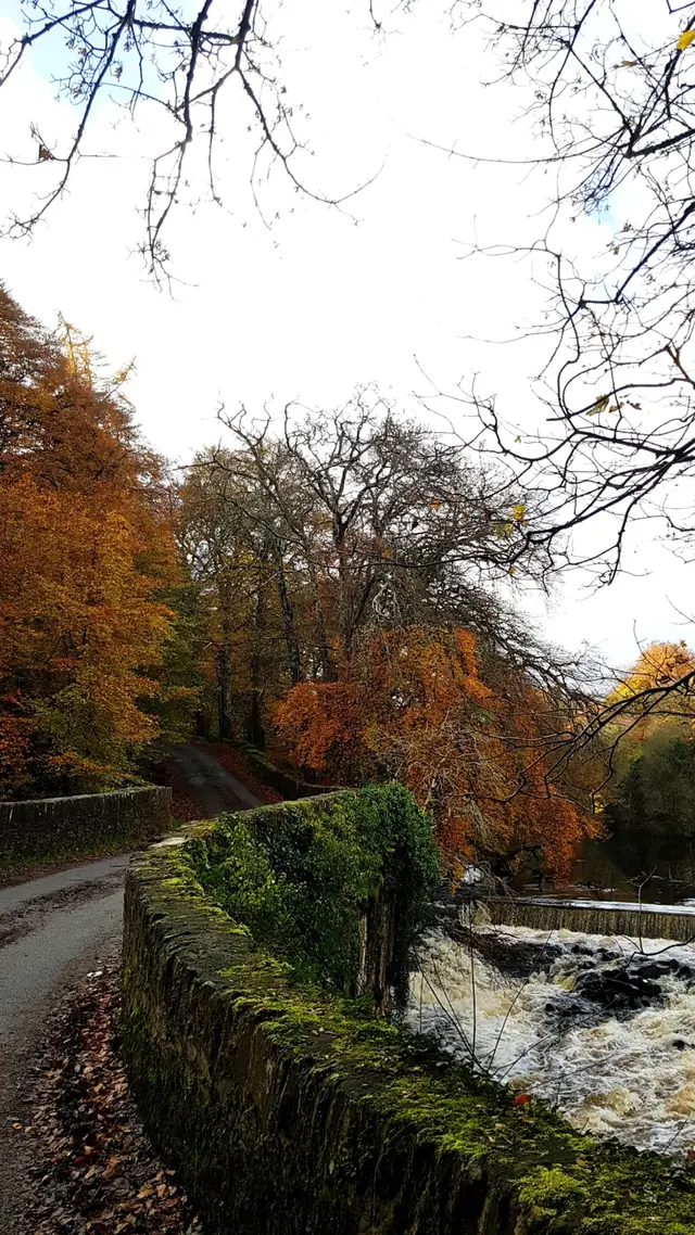 Lennon River Waterfall