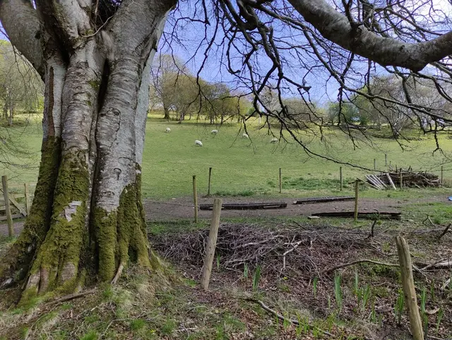 Gartan Lough walk, Churchill