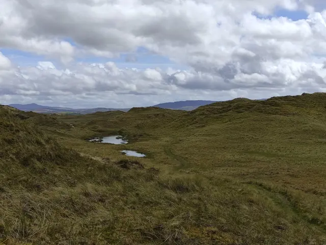 Sheskinmore nature reserve