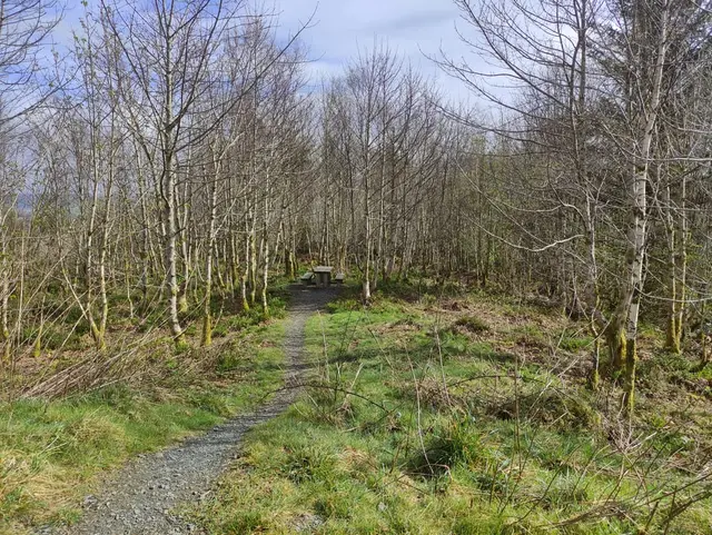 A trip guide to the Steeple Mullaghagarry Tower