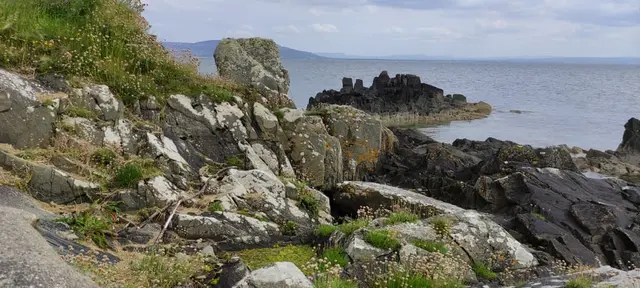 Moville shore path walk