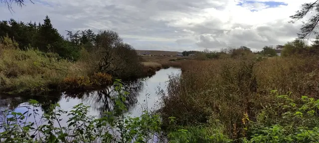 Dungloe River Walk