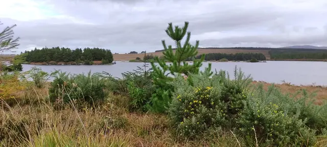 The river walk Dungloe