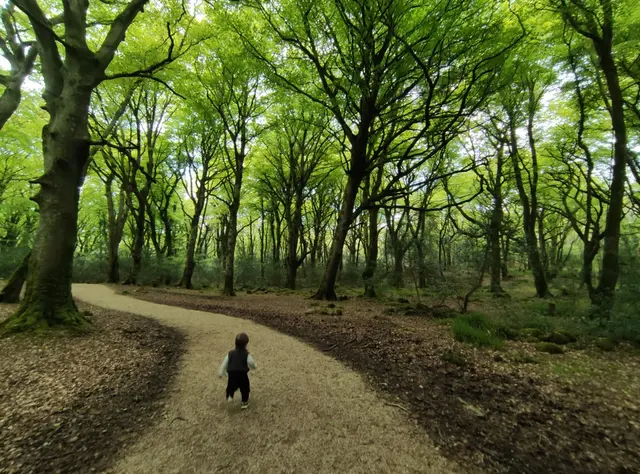 Rathmullan Wood Nature Reserve