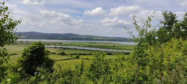 a landscape with trees and a body of water in the distance