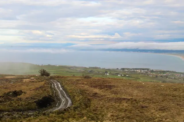 a dirt road in a field