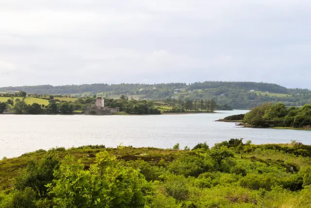 a body of water with trees around it