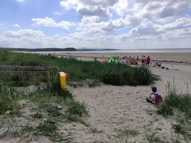 a group of people at a beach