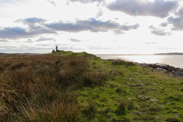 a grassy area next to a body of water