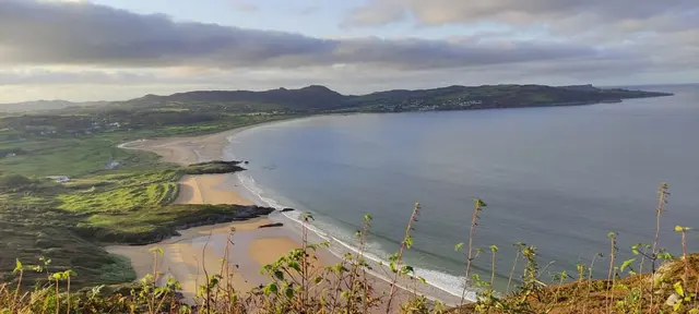 a beach with a body of water