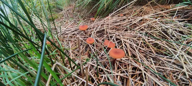 The river walk Dungloe