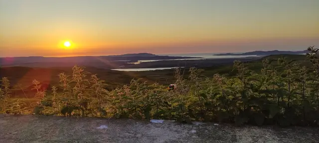 a landscape with trees and a body of water with a sunset in the background