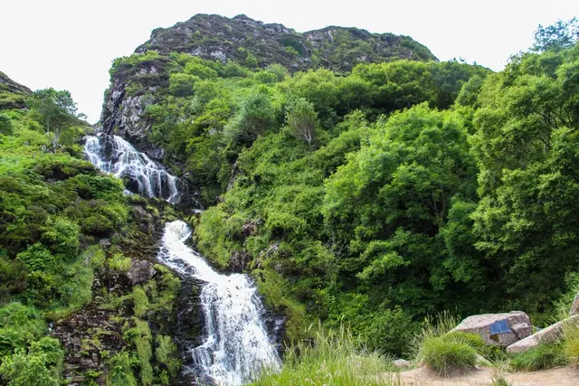 a waterfall in a forest