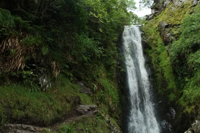 a waterfall in a forest