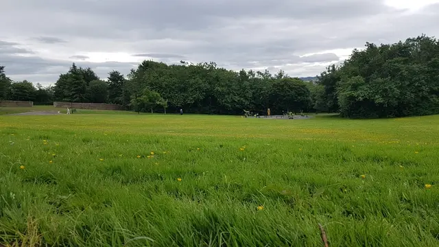 a grassy field with trees in the background