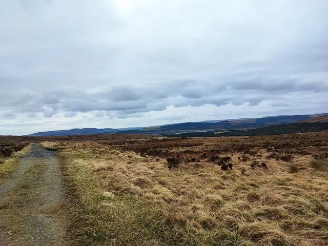 a dirt road in a dry landscape