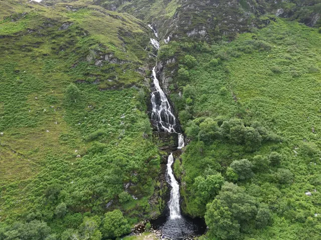 a waterfall in a forest