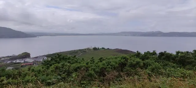 a landscape with trees and a body of water in the background