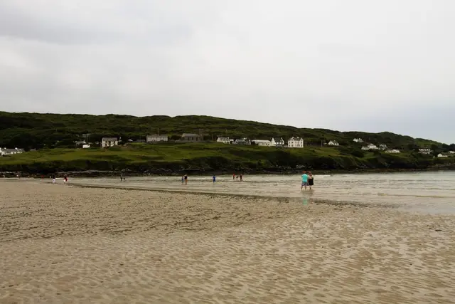 a group of people on a beach