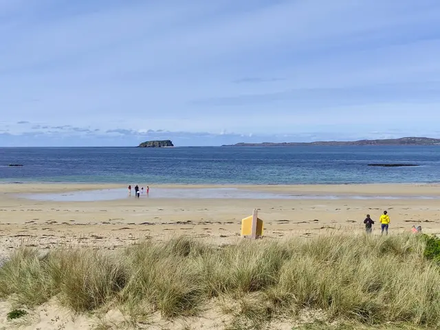 people walking on a beach