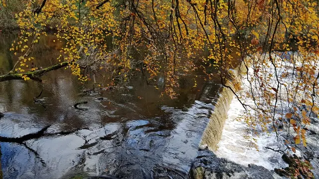 Lennon River waterfall
