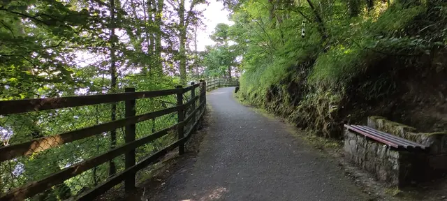 a wooden fence on a path in a wooded area