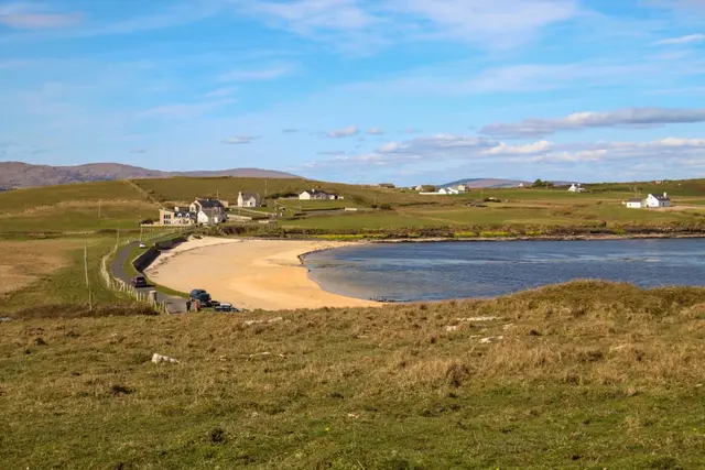 a small pond in a field