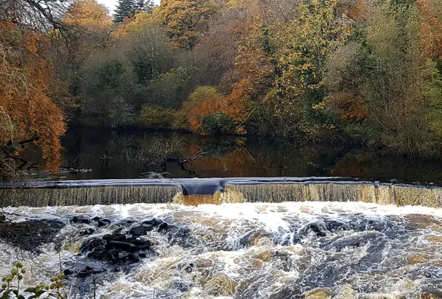 a river with a waterfall and trees