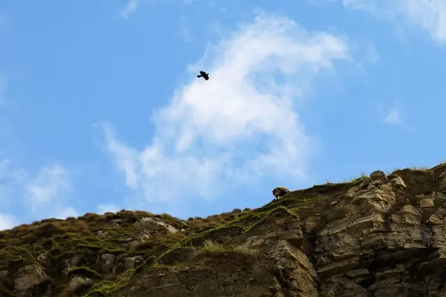 Maghera Beach and caves