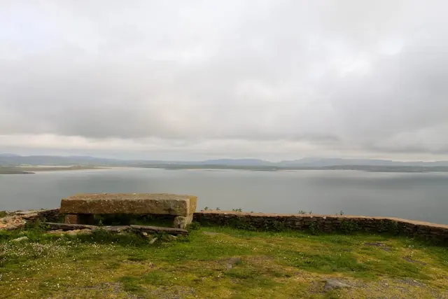a bench sits by the water
