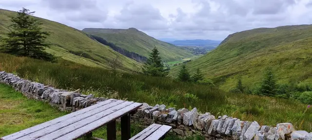 a wooden bridge over a grassy hill