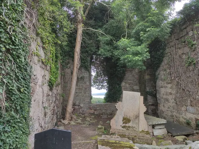 a grave stone inside the Killydonnell Friary surounded by plants