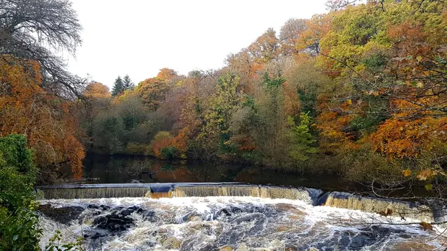 Lennon River Waterfall in autmn