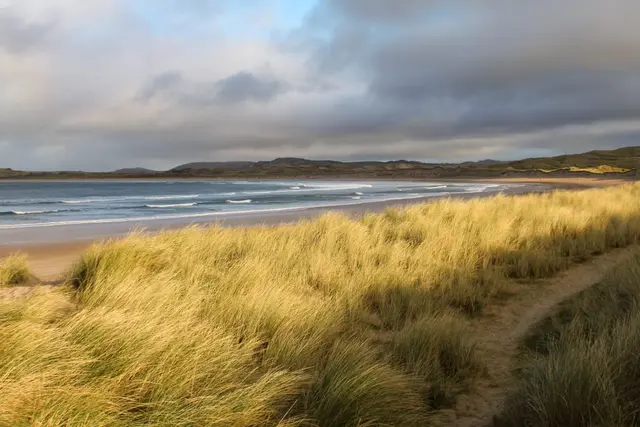 a beach with grass and water