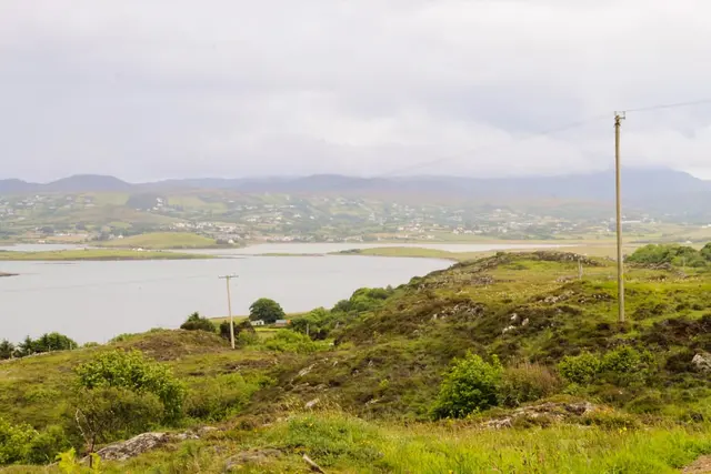 a body of water with grass and trees around it