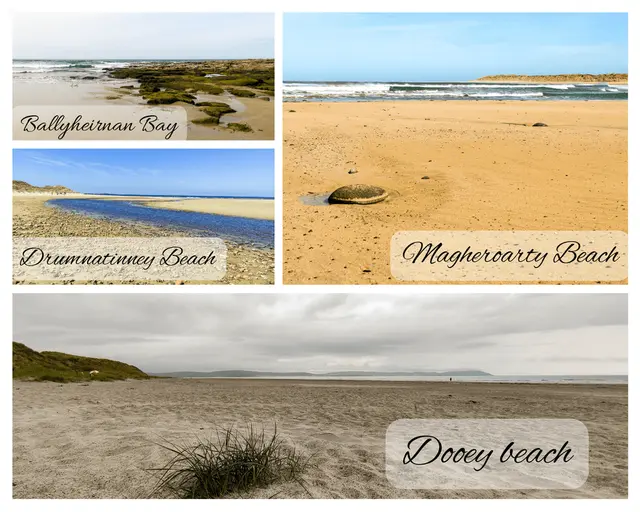 a sandy beach with a sign
