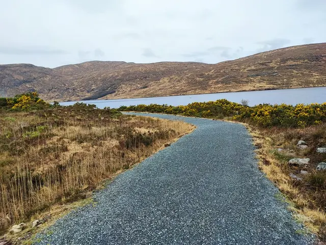 a gravel road next to a body of water