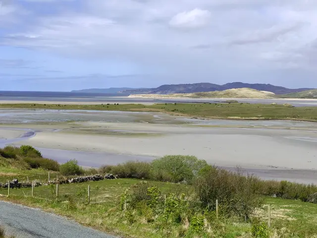 a river with grass and trees